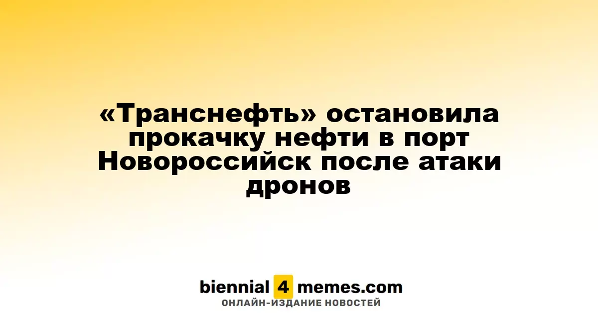 «Транснефть» приостановила нефтеперекачку в Новороссийск после удара дронов