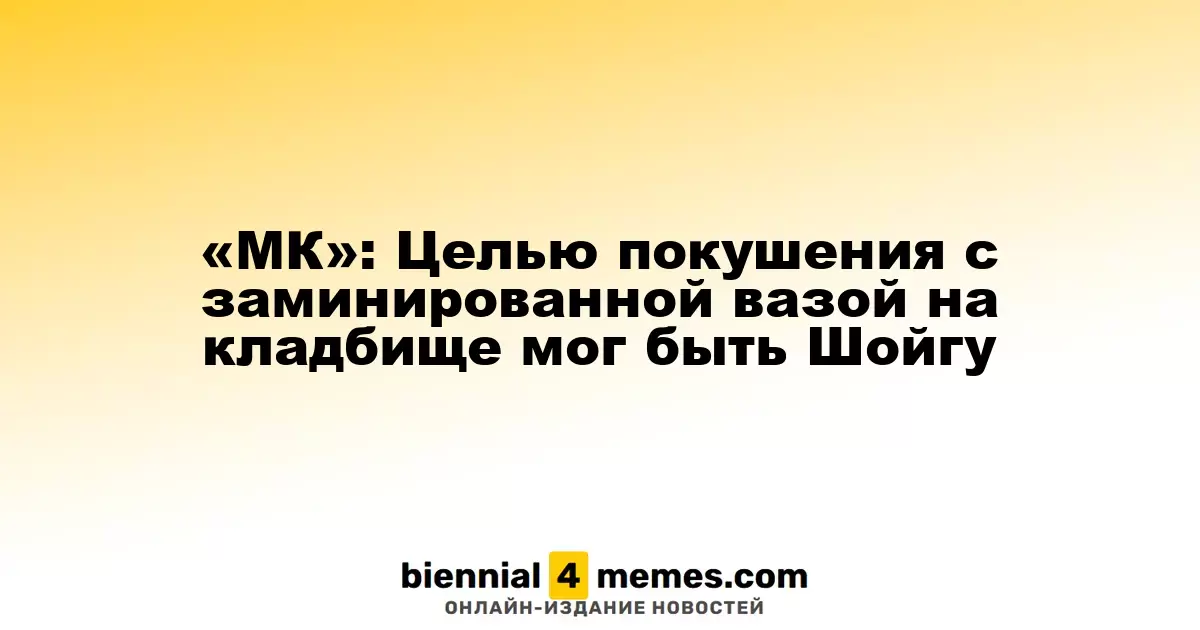 МК»: В качестве цели покушения с взрывным устройством на кладбище мог быть Шойгу