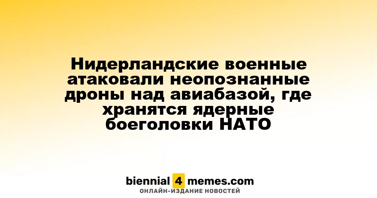 Военные Нидерландов атаковали неизвестные дроны над базой с ядерными боеголовками НАТО