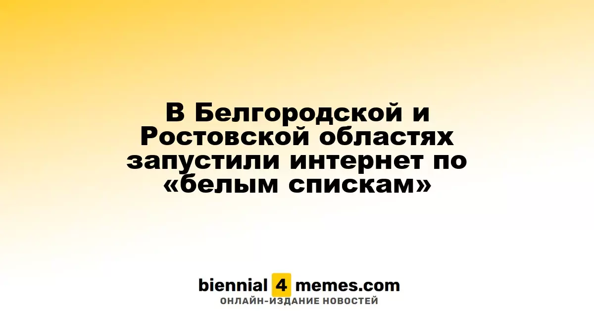 В Белгородской и Ростовской областях введены ограничения интернета по «белым спискам»