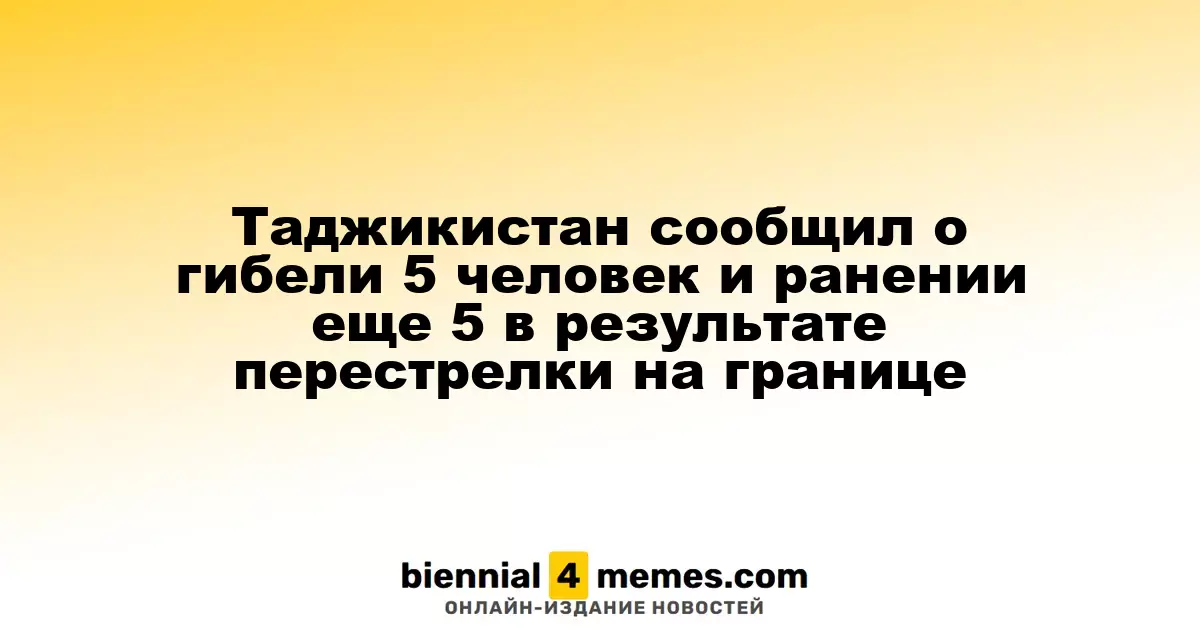 В Таджикистане подтверждены 5 жертв и 5 пострадавших из-за стрельбы на границе с Афганистаном
