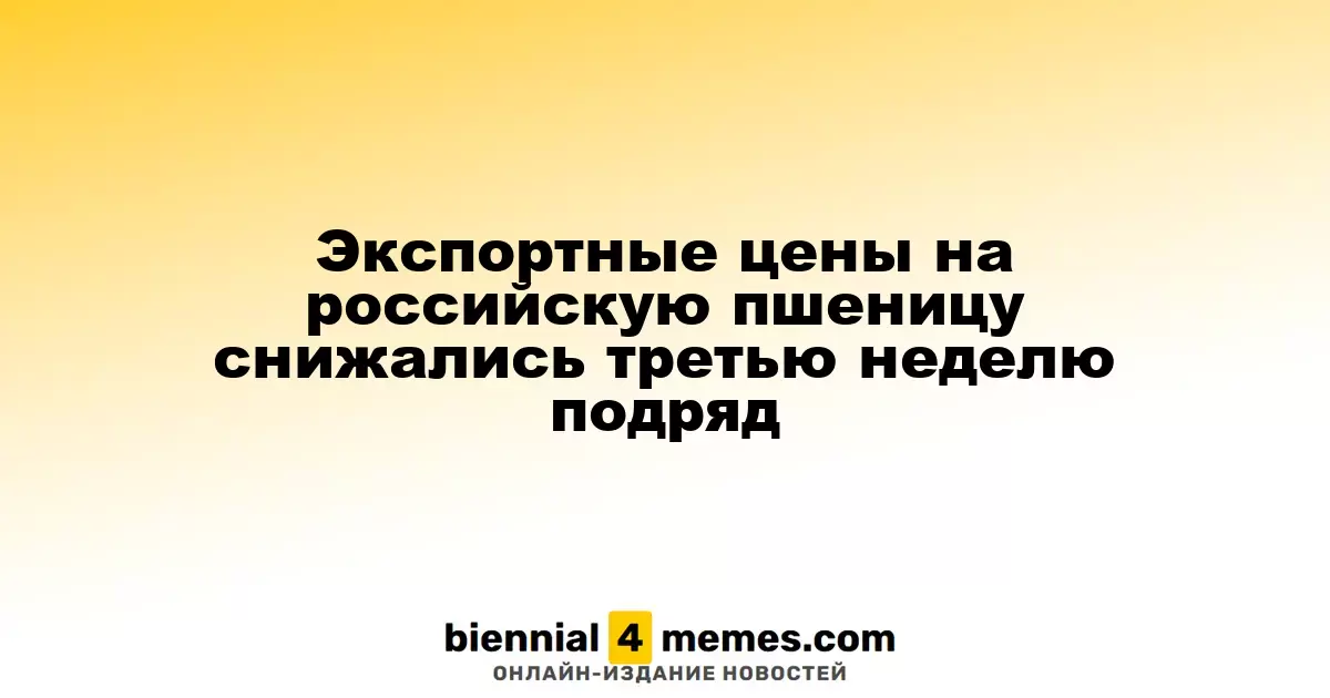 Экспортные цены на российскую пшеницу снижались третью неделю подряд