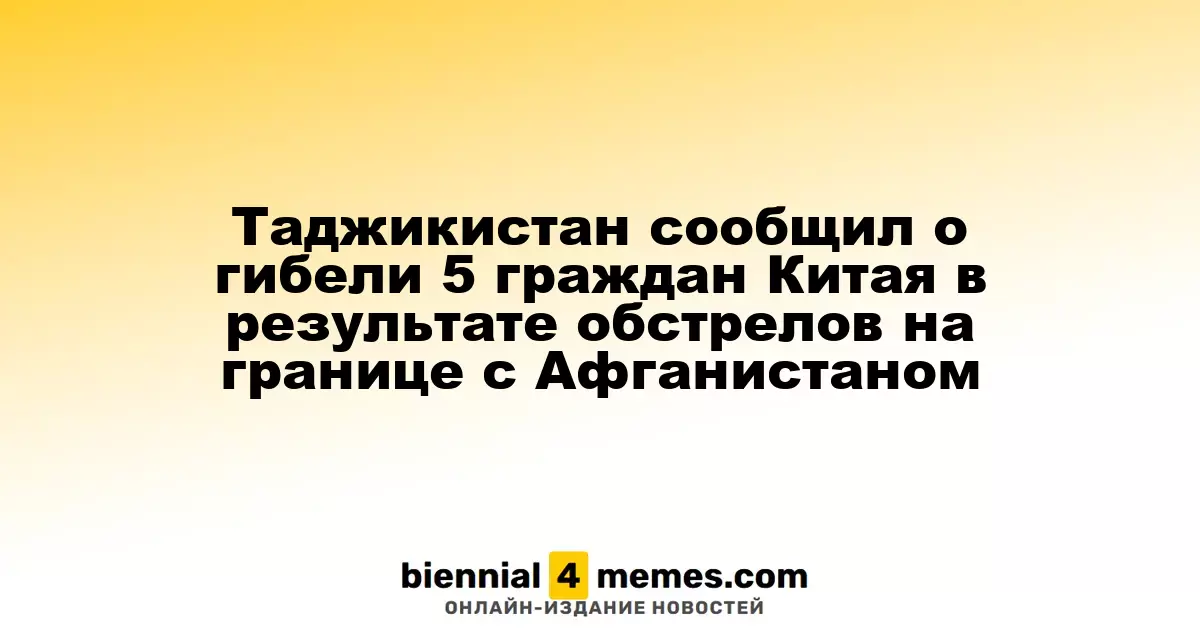 Таджикистан сообщил о гибели 5 граждан Китая в результате обстрелов на границе с Афганистаном