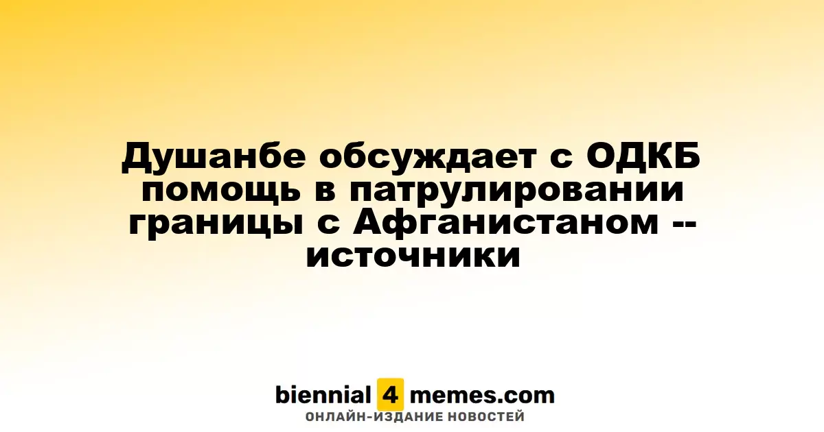Душанбе обсуждает с ОДКБ помощь в патрулировании границы с Афганистаном -- источники