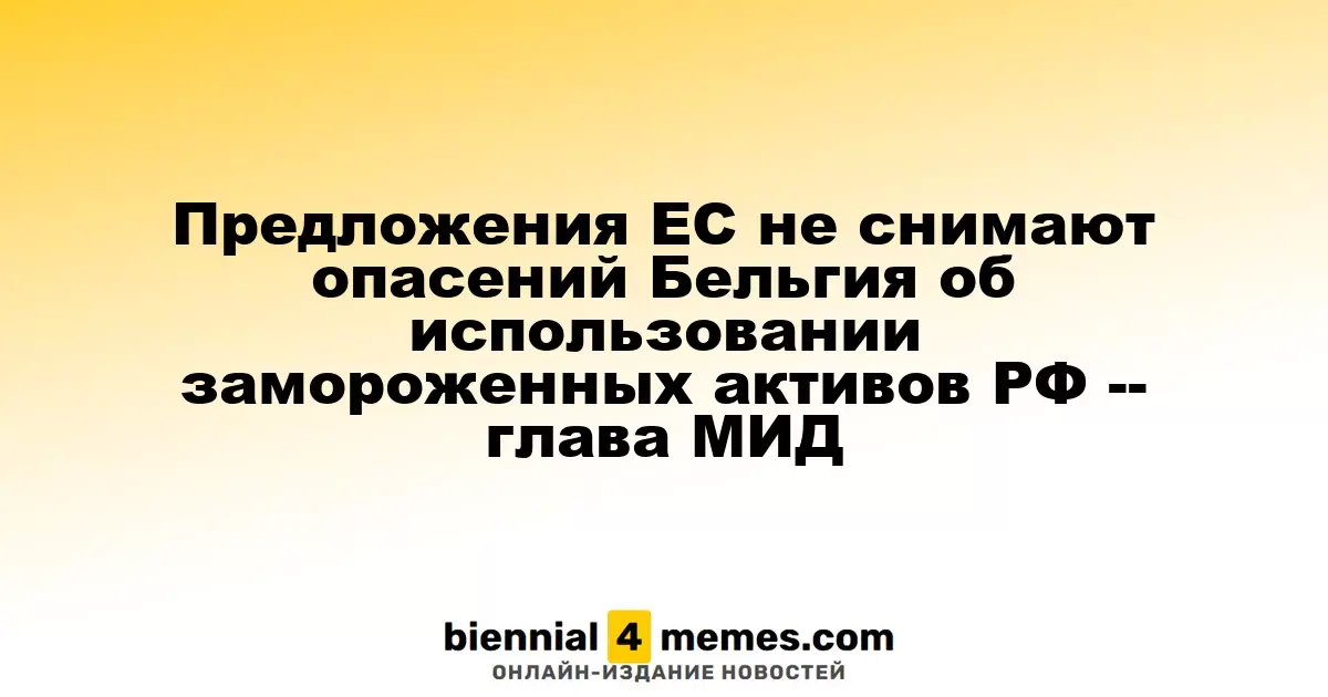 Бельгийский министр не уверен в предложениях ЕС по замороженным активам РФ